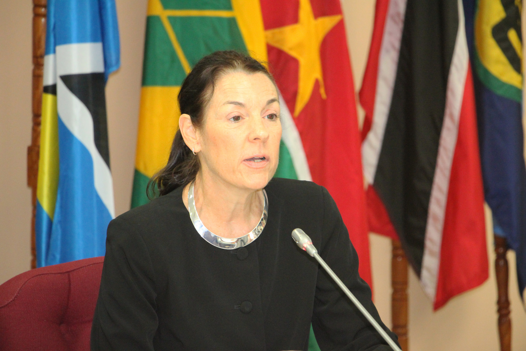 Ms. Martha Doggett, Chief of the Americas Division of the UN Department of Political Affairs