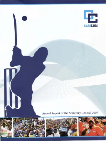 2007 annual report-cover