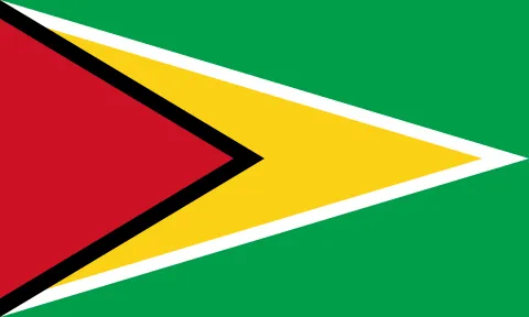 guyana-flag_3000x1800