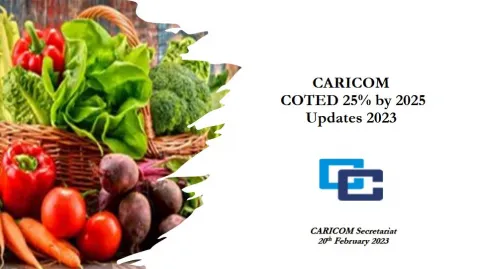 CARICOM 25 by 2025