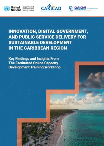 Innovation and Digital Government