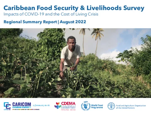Caribbean Food Security & Livelihoods Survey – August 2022 