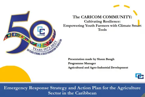 Cultivating Resilience: Empowering Youth Farmers with Climate Smart Tools