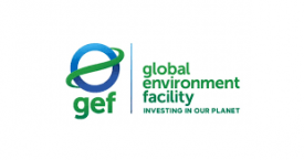 Global Environment Fund (GEF)