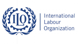 The International Labour Organization (ILO)