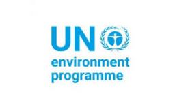 United Nations Environmental Programme (UNEP)
