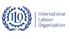 The International Labour Organization (ILO)